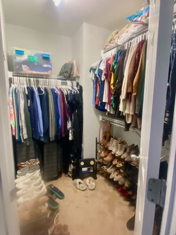 Building Photo - 1018 Mica Lamp Ct