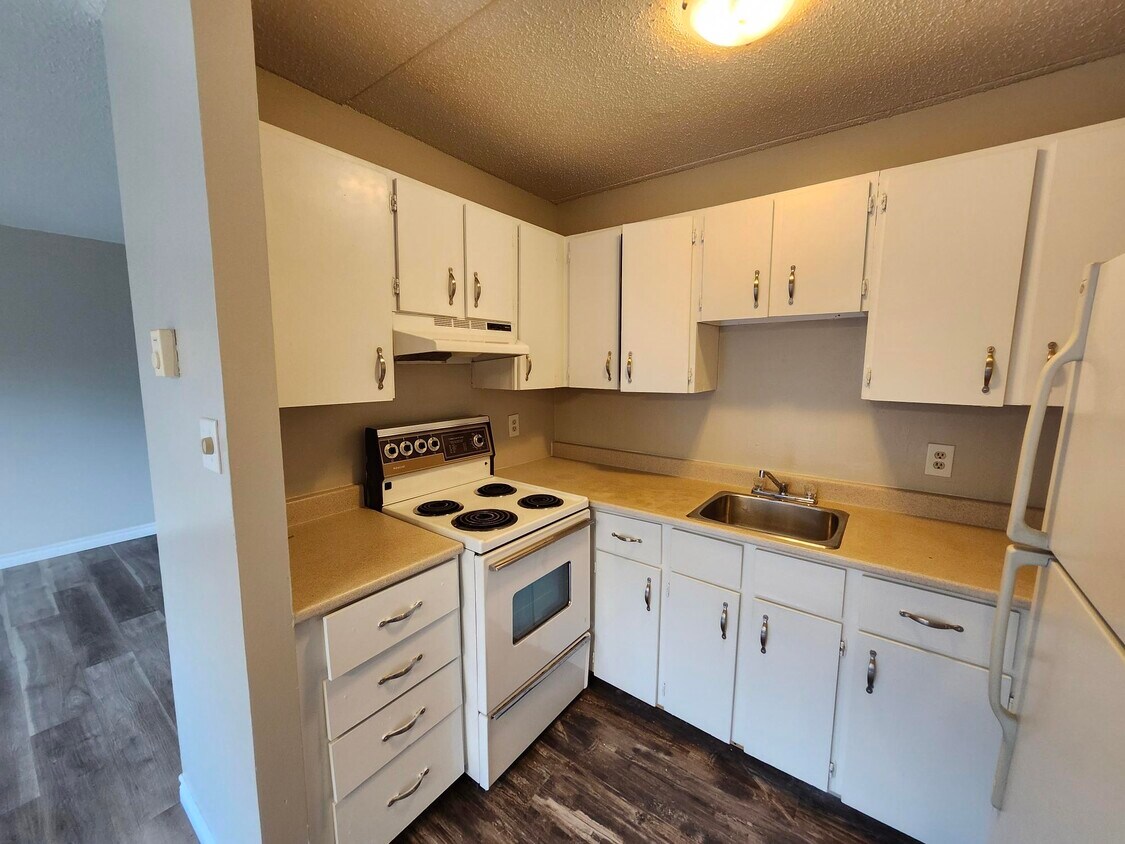Photo principale - 411 Ellerdale St