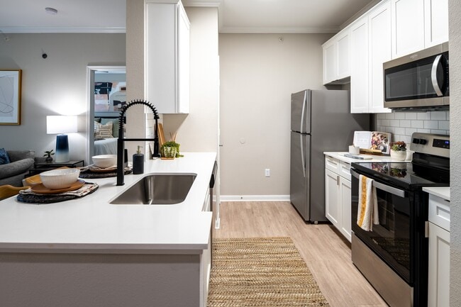 Cocina renovada con electrodomésticos de acero inoxidable - The Pointe at Vista Ridge Apartments