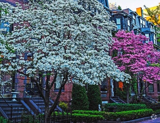 Building Photo - 379 Marlborough St