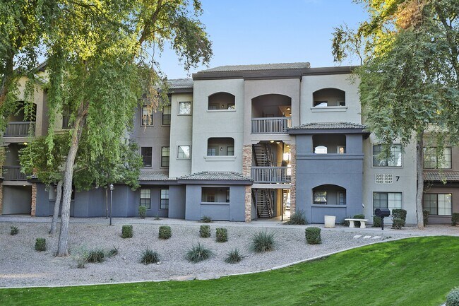 Lazo Apartments Chandler Az Apartments Com Lazo Apartments Chandler Az Apartments Com