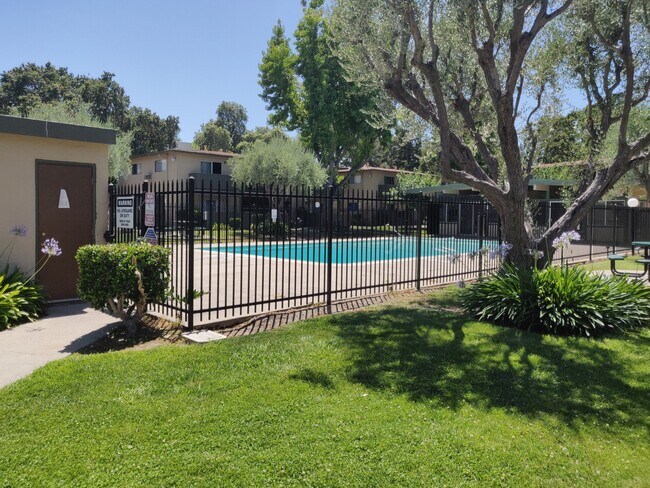 Swimming pool opposite apartment. - 156 Roxanne Ct