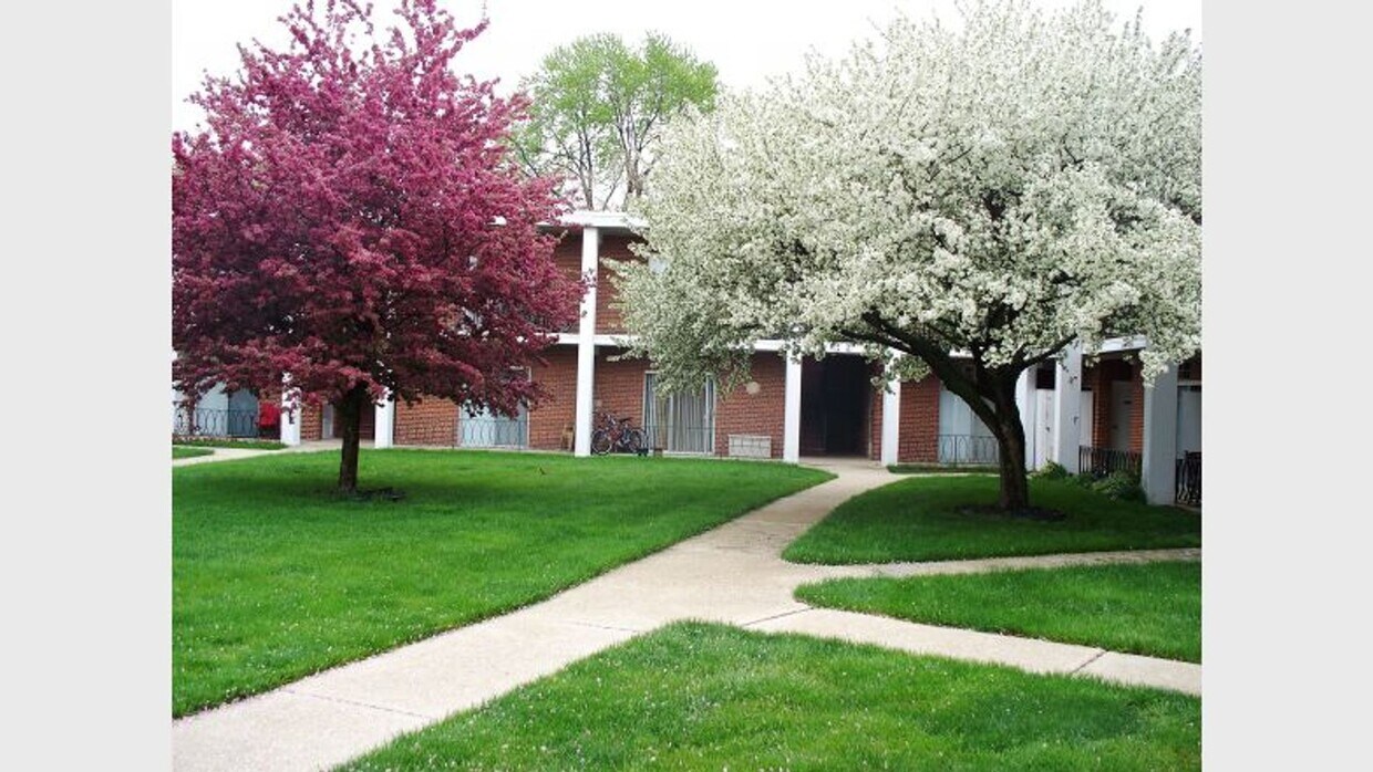 Foto principal - Elmhurst One Bedroom Apartment ~ Parking I...