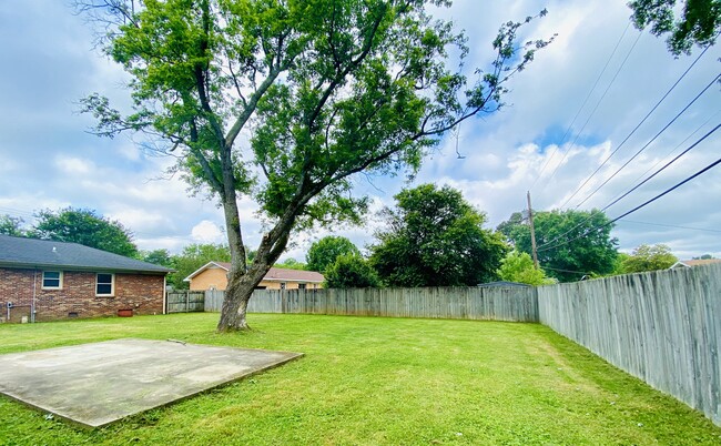 backyard - 304 Drake Ave SW