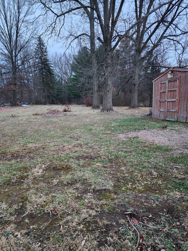 Wooded backyard - 844 Mayflower Dr