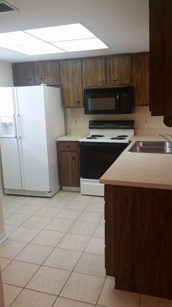 Building Photo - HOLLY TREE