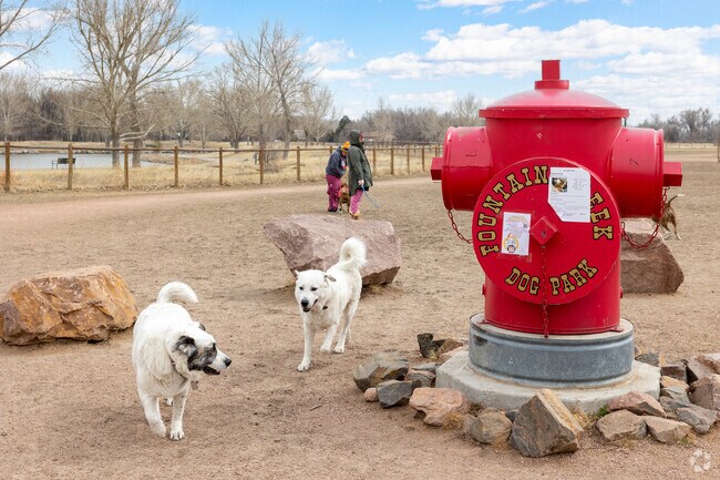Take your best friend out to Fountain Creek Park.