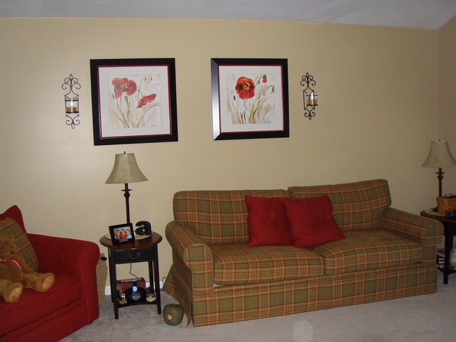 Living room - 2020 Greystone Dr