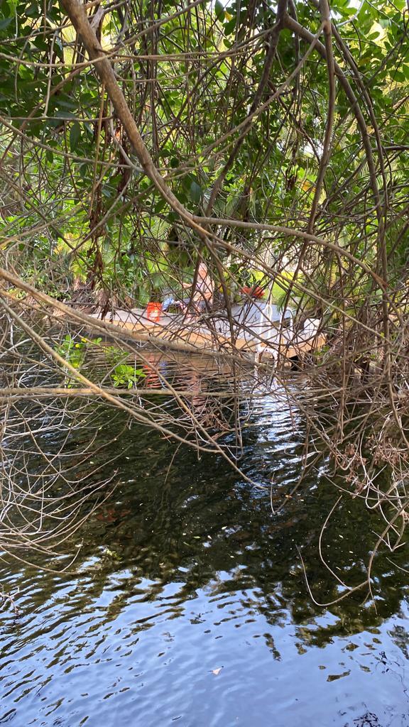 Pescando desde tu patio trasero - 1616 Churchill St