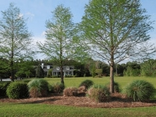 Primary Photo - Tranquility Harbor- independent living suite