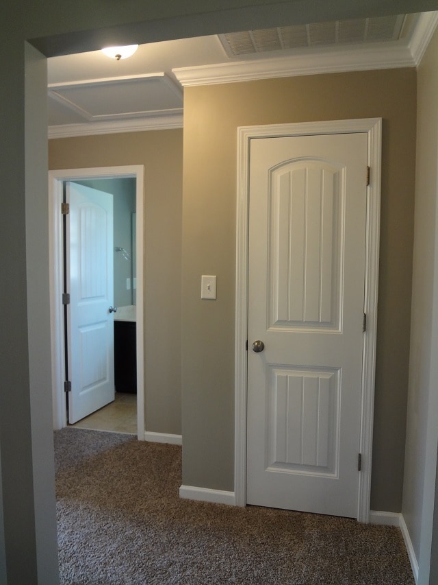 Building Photo - Gorgeous Carolina Plantation Home!
