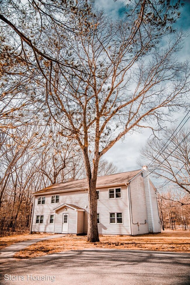 Building Photo - 39-33 Birch Rd