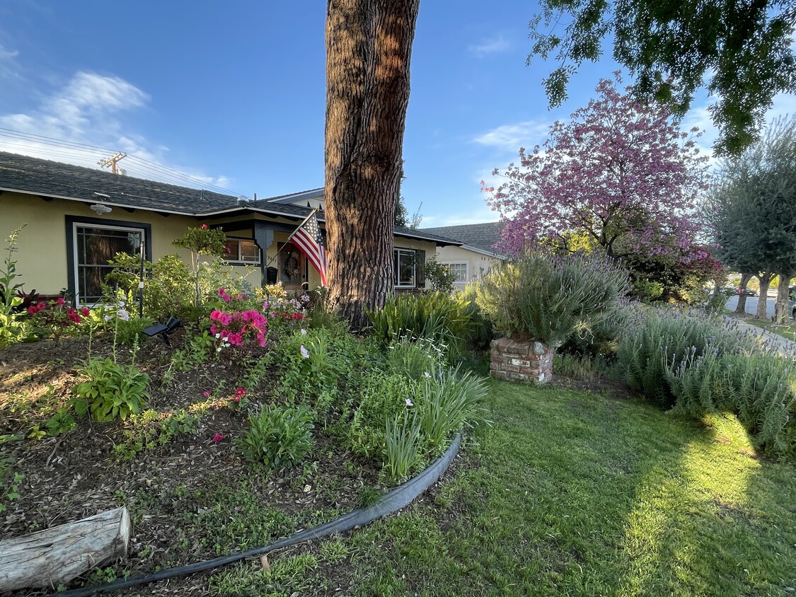 Front yard - 23437 Vanowen St