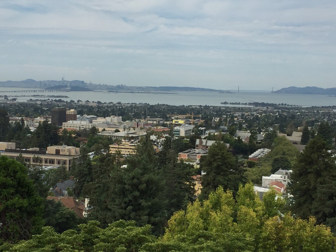 Sweeping view of the San Francisco Bay - 1722-1724 La Vereda Rd