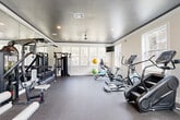 Located at 5045 Crenshaw Rd in Pasadena, Texas, this dedicated fitness center offers a thoughtfully designed exercise space across a single, open floor. The room features a dark, contrasting ceiling trimmed with clean crown molding that lends a modern, polished aesthetic against the light-toned walls. Recessed lighting and a ceiling fan ensure the space remains well-lit and comfortable during workouts.

Large windows line multiple walls, flooding the interior with natural light and providing views of the surrounding tree-lined landscape. A wall of floor-to-ceiling mirrors along one side visually expands the room and supports form-focused training.

The fitness center is comprehensively equipped to support a wide range of exercise routines. A dedicated cardio zone features Star Trac treadmills, an elliptical, a stair climber, and a stationary cycling bike with an integrated display. The strength training area includes a multi-station cable machine, a full rack of dumbbells on tiered storage, and a weight bench. Stability balls and accessories round out the functional fitness options. Wall-mounted flat-screen televisions are positioned for visibility throughout the space. The durable rubber-composite flooring provides traction and impact absorption, making this fitness center both functional and inviting.