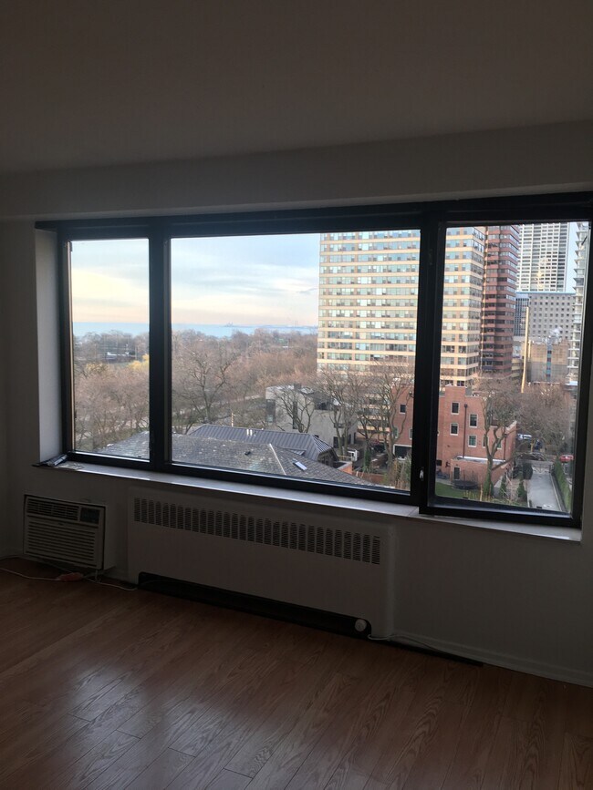 Foto del edificio - 3100 N Lake Shore Dr