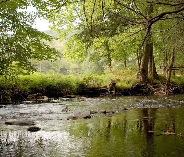 Vinegar Hollow is a hiking paradise