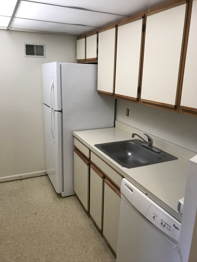 Fregadero de cocina/refrigerador - 138 Green Turtle Ln