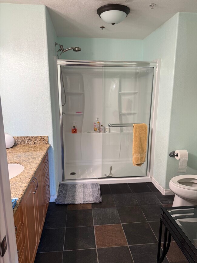 Walk-in Shower - 3857 Pell Pl