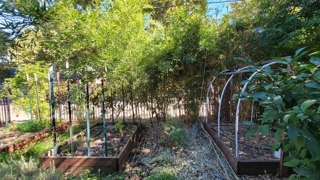 Foto del edificio - 3116 San Carlos Way