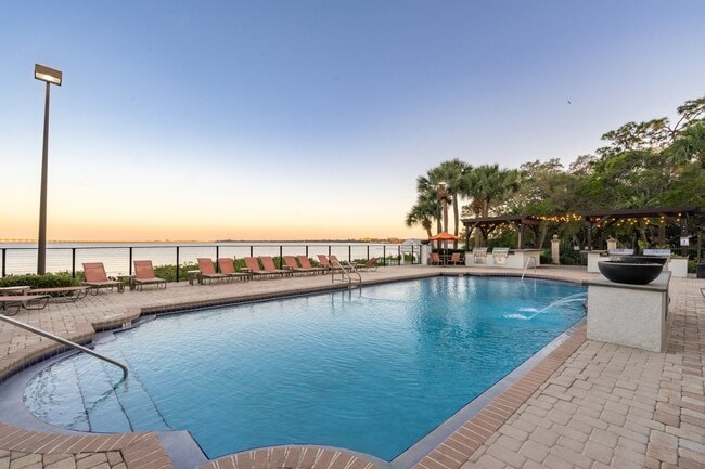 Building Photo - Bayside Arbors of Clearwater