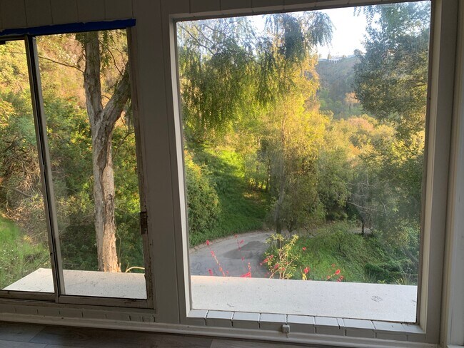 Views down driveway - 11036 Anzio Rd