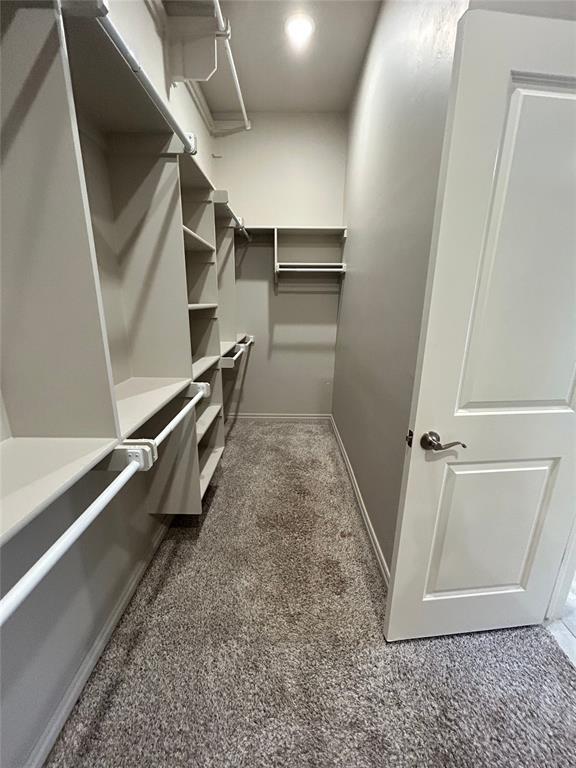 Foto del edificio - 3617 Lleyton Dr