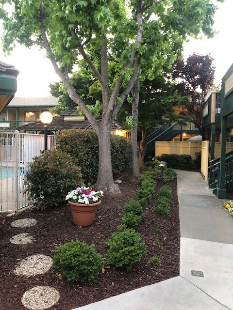 Courtyard - 2025 California St