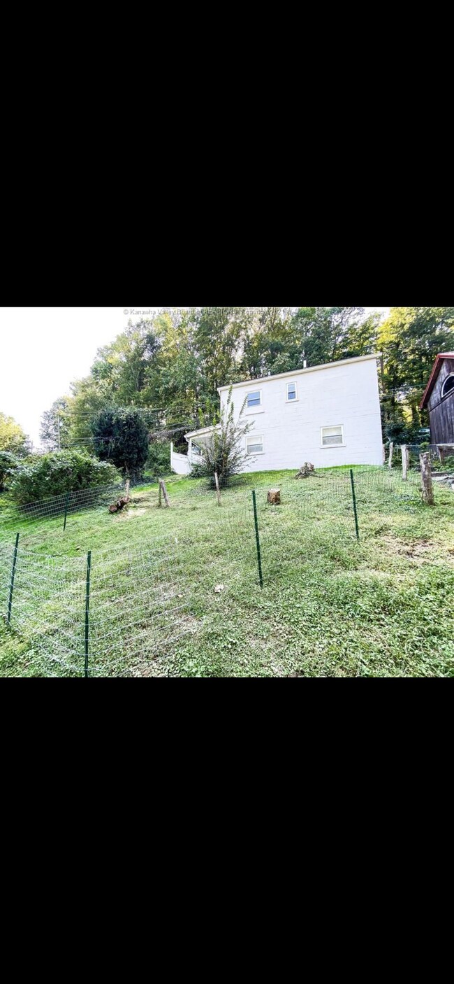Back yard - 230 Hickory Rd