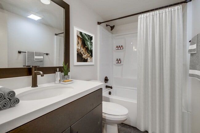 Interior Photo - Le Jaime- Newly Renovated Living in the Heart of Clairemont