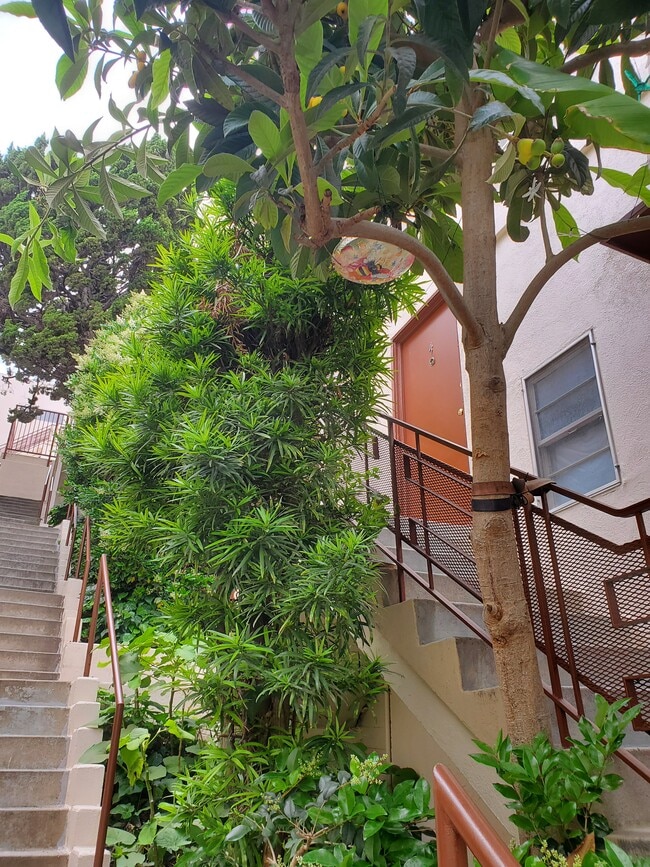 Building Photo - Westwood Apartments, Inc