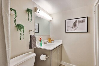 ReNew Mt. Vernon photo'