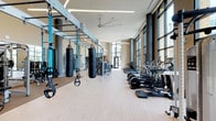 This fitness center offers a thoughtfully designed, single-floor space that balances functionality with a clean, contemporary aesthetic. Floor-to-ceiling windows line one wall, flooding the interior with abundant natural light and creating an open, energizing atmosphere. Tall ceilings amplify the sense of spaciousness, while a large ceiling fan ensures comfortable air circulation throughout the facility.

The layout is organized to accommodate a wide range of training styles. Along one side, a row of cardio machines — including treadmills and ellipticals — is neatly aligned, providing members with dedicated space for endurance training. On the opposite side, a functional training zone features a ceiling-mounted rig outfitted with TRX suspension trainers and heavy punching bags, catering to strength, conditioning, and combat-style workouts. Additional equipment and a mirrored wall are visible toward the rear of the space, supporting free weight and resistance training.

Light wood-toned flooring runs throughout, complementing the neutral wall tones and dark structural columns. Linear overhead lighting enhances visibility across the entire floor. The overall ambiance is modern, clean, and inviting, supporting a motivating environment for a diverse range of fitness activities.