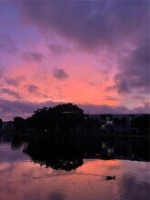 Building Photo - 1522 Whitehall Dr