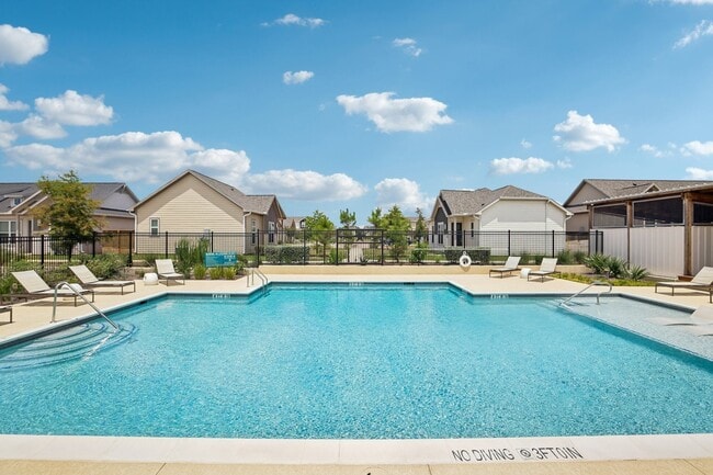 Building Photo - Avendale at The Colony