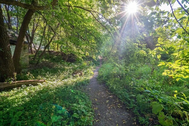 Miles of trail and parks right off the backyard! - 5344 Xerxes Ave S