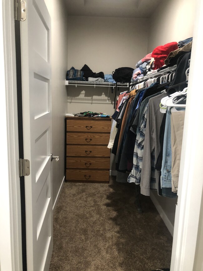 Primary Bedroom Walk-in Closet - 3028 Bluestem Trl