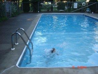 Foto principal - 39 Smithwheel Rd