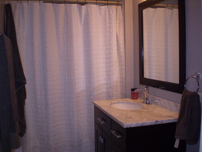 Bathroom - 225 N Oak Park Ave
