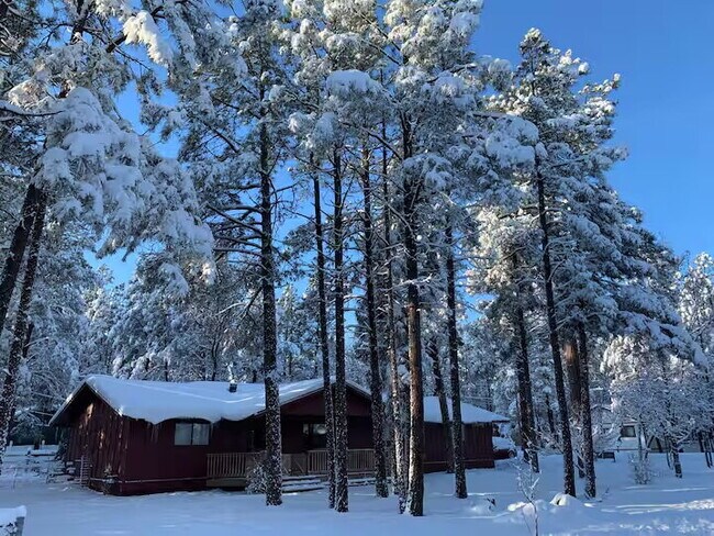 Foto del edificio - 2957 Autumn Dr