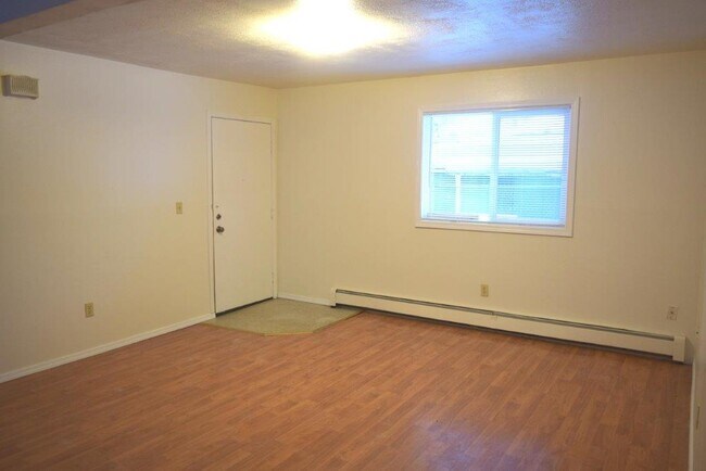 Living Room/entry - 810 Irwin St