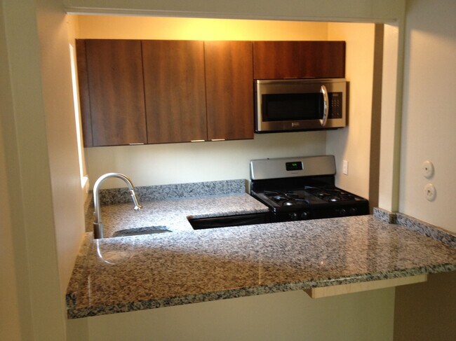 Cocina Reno de dos habitaciones - 817 Arch St