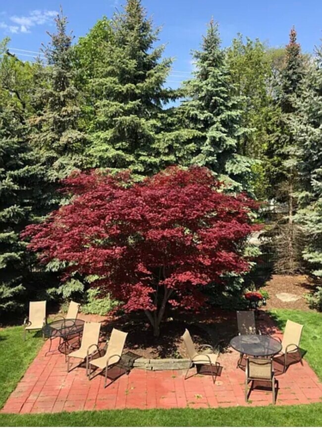 Building Photo - 475 S Adams Rd