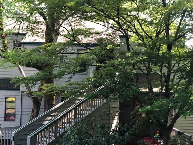 Building Photo - Downtown Forested Units Near OHSU