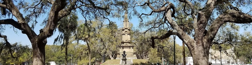 Picture of Savannah