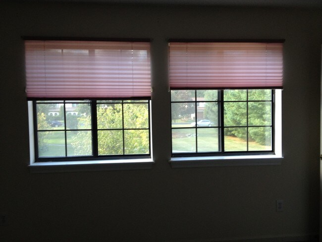 Master View - 119 Stringham Rd