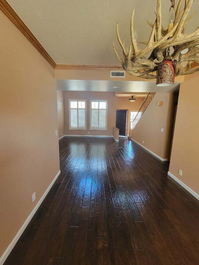 Área de la sala de estar - 28045 Magic Mountain Ln