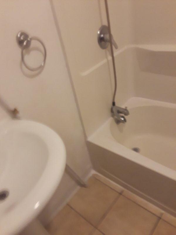 173 Chestnut St Unit 1, Oneonta, NY 13820 Room for Rent in Oneonta