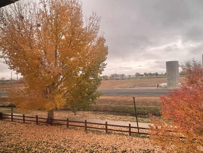 Building Photo - 804 Summer Hawk Dr