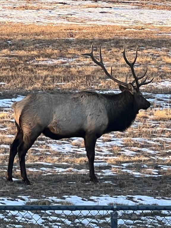 Foto del edificio - 569 S Edinburgh Dr